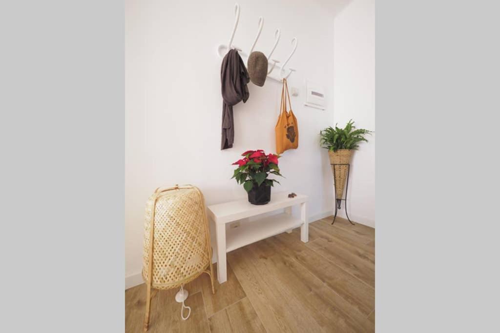 Apartaments Sa Calm Sant Miquel De Les Formigues Sant Hilari Sacalm Εξωτερικό φωτογραφία